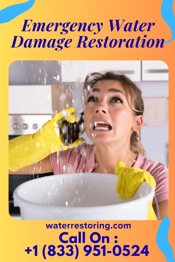 Emergency Water Damage Restoration in Lamont, WA