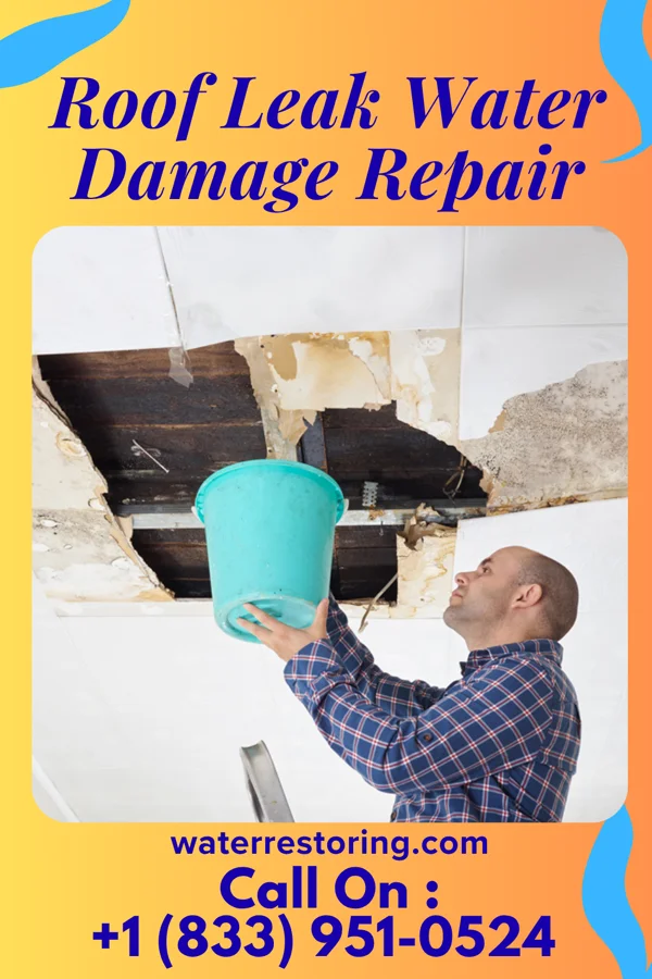 Roof Leak Water Damage Repair in Lamont, WA